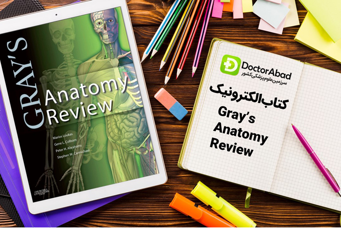 gray's anatomy review