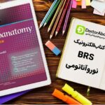 دانلود کتاب BRS Neuroanatomy | دکترمگ مجله‌دکترآباد