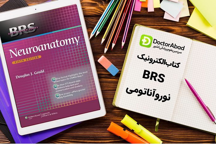 دانلود کتاب BRS Neuroanatomy | دکترمگ مجله‌دکترآباد