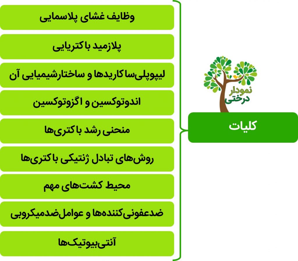 کلیات باکتری شناسی