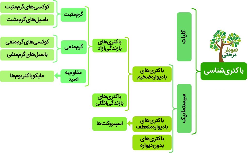 نمودار درختی باکتری شناسی