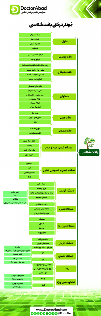 نمودار درختی بافت شناسی