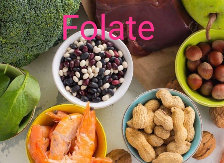 ویتامین های خانواده B - فولات FOLATE اسید فولیک